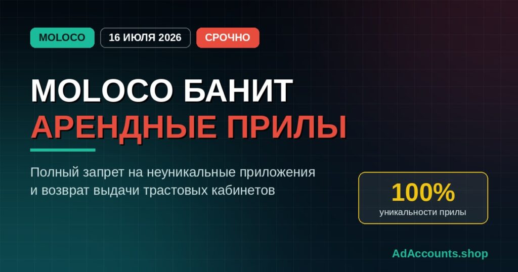 Moloco банит арендные приложения: полный запрет и новая выдача агентских кабинетов в 2026