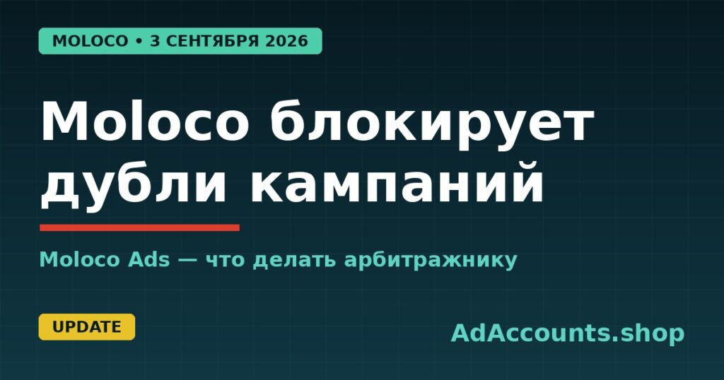 Обложка статьи: Moloco блокирует дубли кампаний, Moloco Ads — что делать арбитражнику